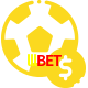 Aposte em esportes do mundo todo no lllbet!